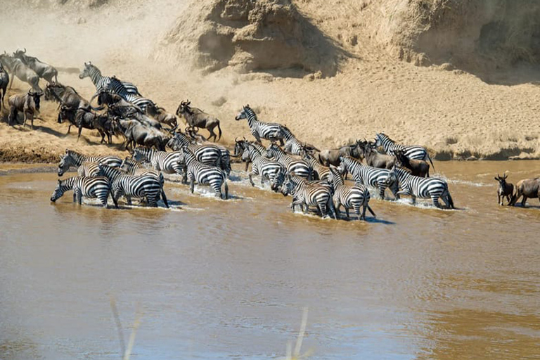 Arusha: 8-Day Serengeti Migration Safari Tour