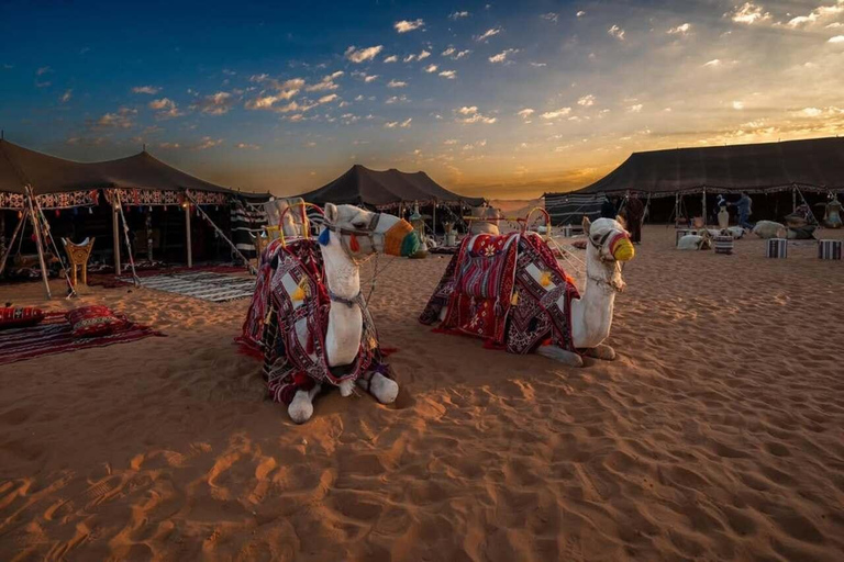 Riyadh: Edge of the World Hiking, Camel Ride, and Cave Tour