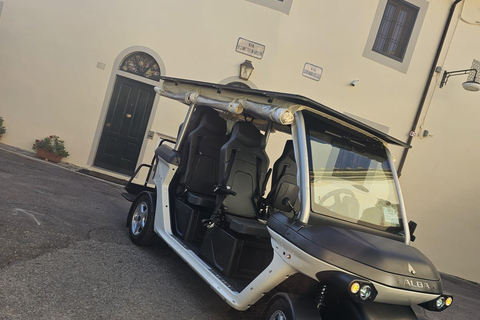 Golf cart tour of the hills of Florence and Piazza Michelangelo