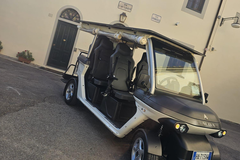 Golf cart tour of the hills of Florence and Piazza Michelangelo