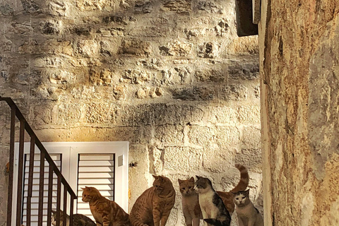 Budva : L'enchantement de la Méditerranée