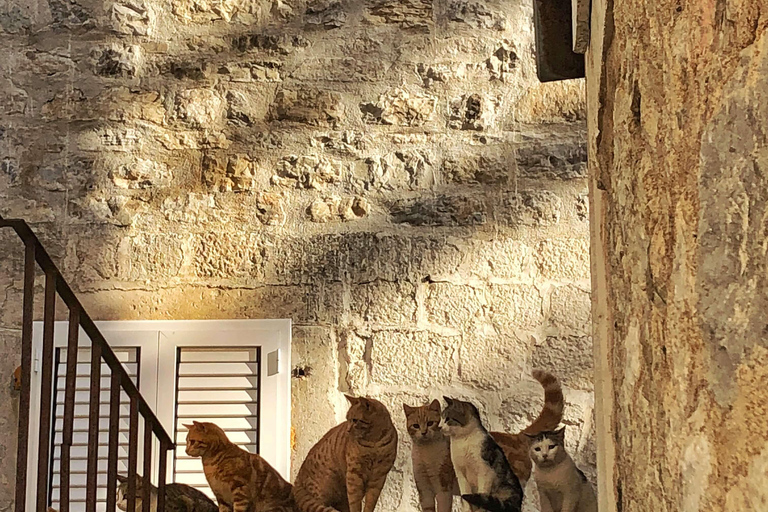 Budva: Bezaubernde Mediterranität