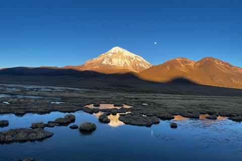 From La Paz: Tour guide-led tour of Sajama Park