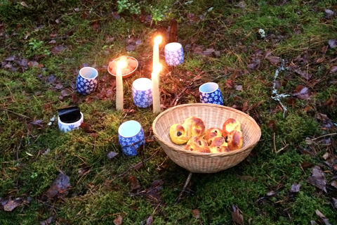 Stockholm: Dog Walk in Nature Reserve with Swedish Fika