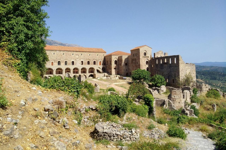 From Kalamata: Mystras and Sparta Day Trip Per/Person Shared Luxury Zero-Emission Electric SUV Transfer
