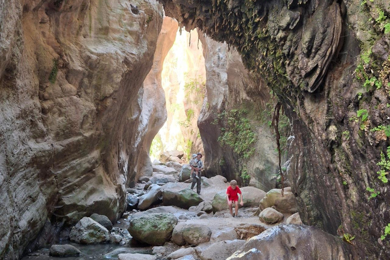 The Super Team : Akamas & Avakas Jeep Safari from Paphos