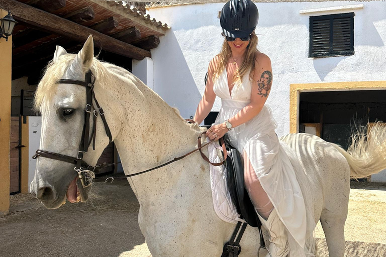 Alicante: Private Horseback Ride & Picnic with Transfer