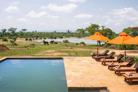 Entebbe : Safari de luxe dans le parc national Queen Elizabeth