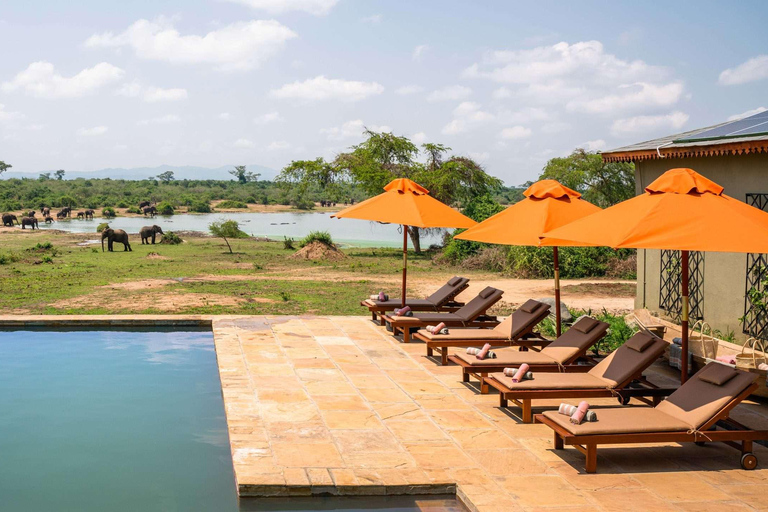 Entebbe : Safari de luxe dans le parc national Queen Elizabeth