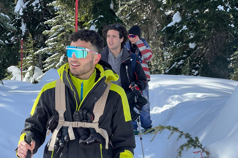 Wędrówka na rakietach śnieżnych w Zimowej Krainie Czarów w Vancouver