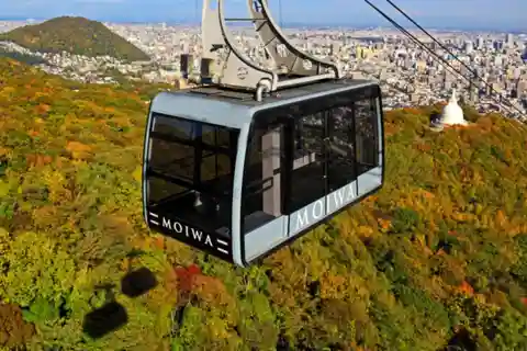 Mt. Moiwa Nightscape and Ropeway Round Way Ticket