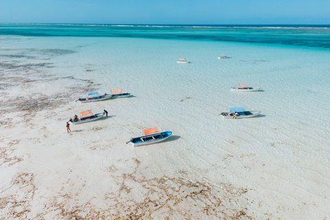 Passeio com snorkel e golfinhos na Ilha Mnemba ZANZIBAR