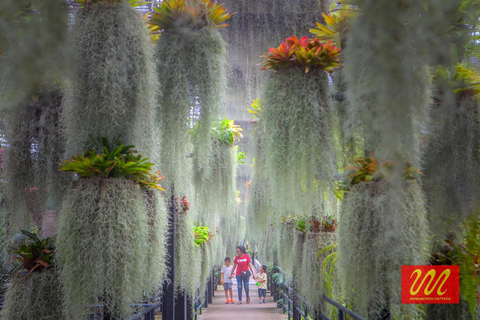 Pattaya: Guided City Tour with Sanctuary of Truth & Lunch