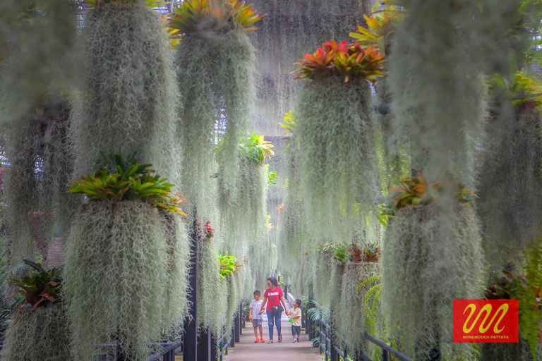 Pattaya: Guided City Tour with Sanctuary of Truth & Lunch