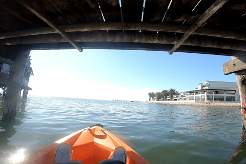 Swakopmund: Sandboarding and Lagoon Kayaking Combo Tour