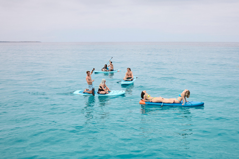 Ibiza: Formentera Boat Cruise, Bike Adventure & Sunset Party Ibiza: Formentera Boat Cruise, Formentera & Sunset Party