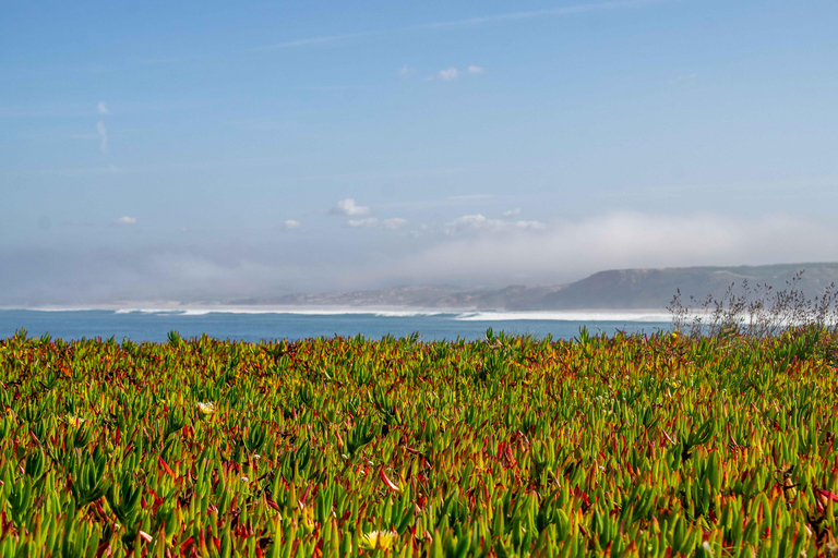 From Lisbon: Óbidos and Peniche Day Tour with Local Guide