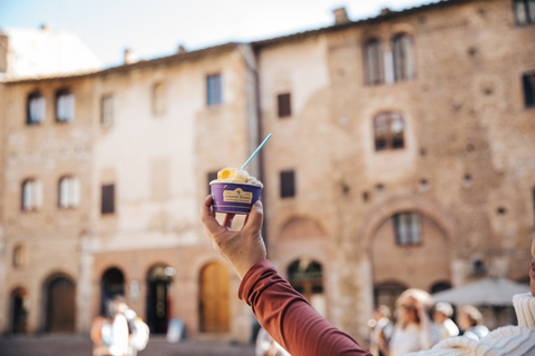 Florence: Pisa, Siena, San Gimignano en Chianti-ervaringTour in het Italiaans