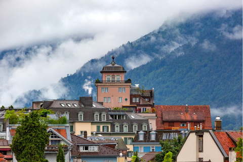 Från Luzern: Privat dagstur till Interlaken och Grindelwald