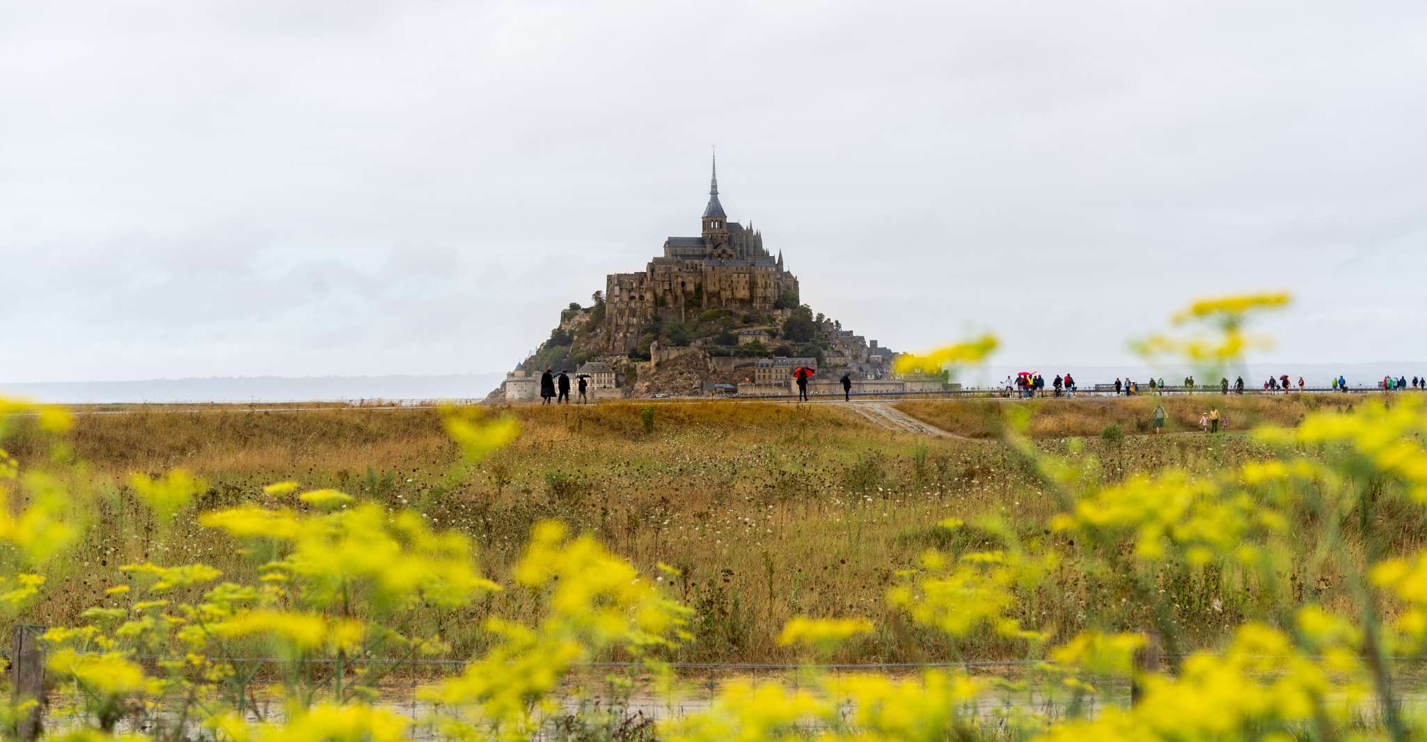 From Paris, Mont Saint Michel Day Trip with a Guide - Housity