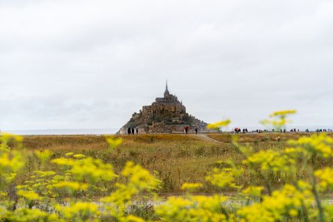 De Paris: viagem de um dia guiada ao Mont Saint Michel