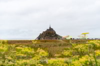 Da Parigi, gita da giorno di Mont Saint Michel con una guida - Housity