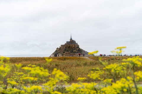 Depuis Paris : Excursion au Mont Saint Michel avec un guideDepuis Paris : Excursion d'une journée au Mont Saint Michel avec un guide