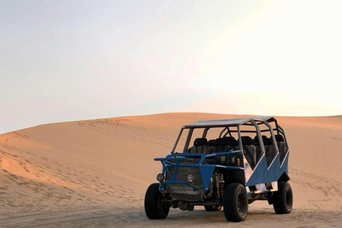 Vanuit Lima: Paracas en Huacachina begeleide woestijnoase reis