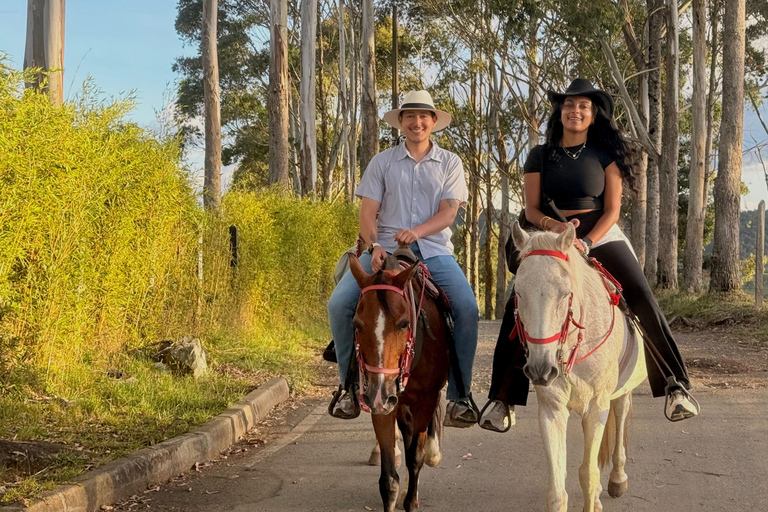 2-hour horseback riding + Private transportation + Photos & videos + Gift for the first 5 to book 2-hour horseback ride + private transportation + photos & videos + gift for the first 5 to book.