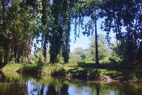 Private Kayaking Adventure: a 2-hour Wildlife Escape Self-Guided Kayaking Adventure: a 2-hour Wildlife Escape