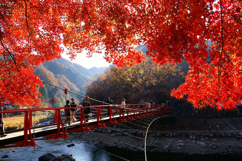 Nagoya: Folhas de outono de Korankei e viagem de 1 dia ao Templo EihojiNagoya: Folhas de outono em Korankei e viagem de 1 dia ao Templo Eihoji