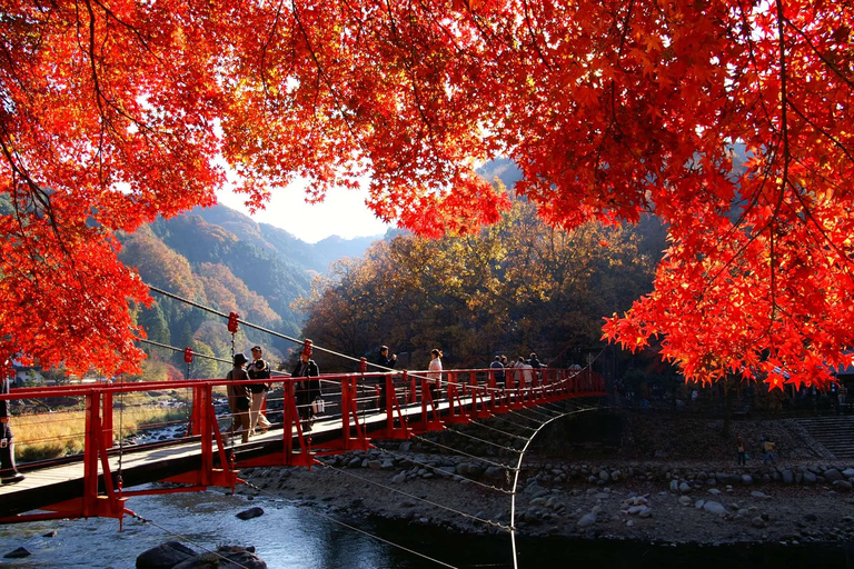 Nagoya: Folhas de outono de Korankei e viagem de 1 dia ao Templo EihojiNagoya: Folhas de outono em Korankei e viagem de 1 dia ao Templo Eihoji