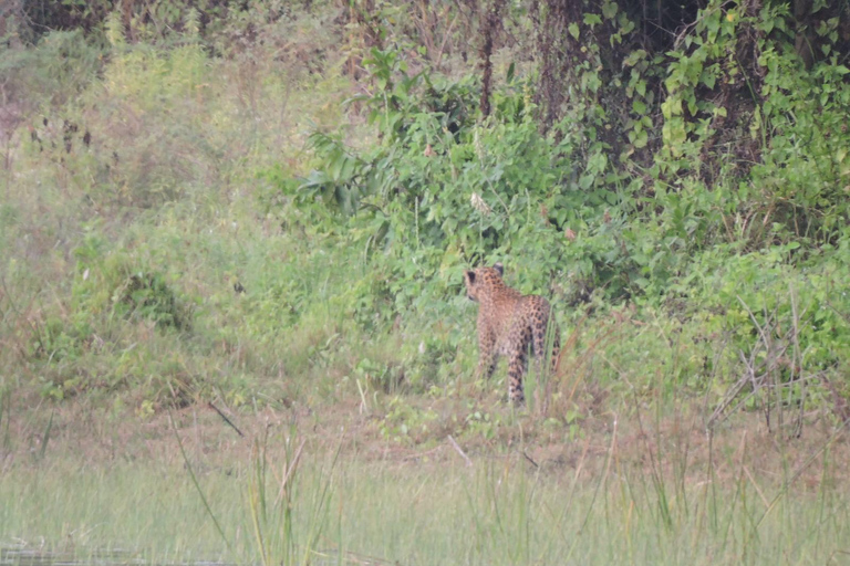 Yala/Mirissa: All Inclusive Full-Day Safari at Yala Park Mirissa/Weligama: All Inclusive Full-Day Safari at Yala Park