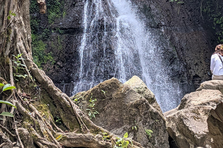 From Arusha: Coffee Farm and Mangalia Waterfalls Tour