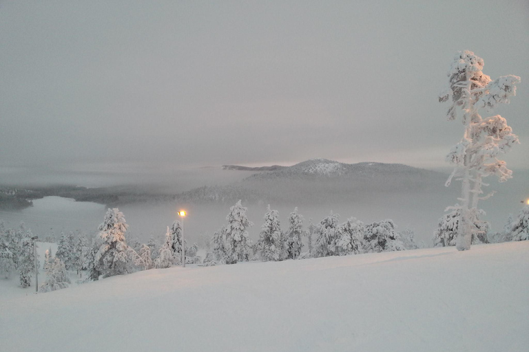 Ruka: Riisitunturi nationalpark med lunch.