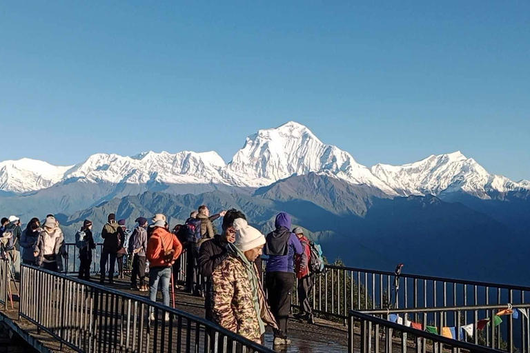 Pokhara: 5-Day Ghorepani Poon Hill Trek