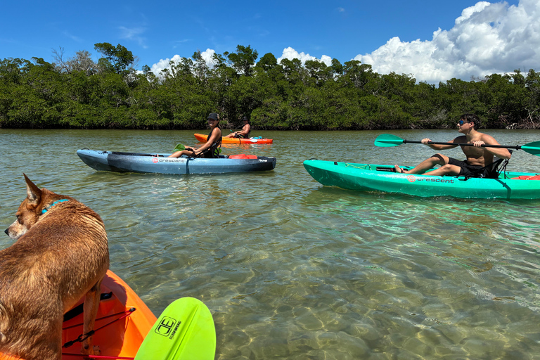 Bonita Springs Clear Kayak Tour with Dolphins & Manatees Crescent Tandem Kayak