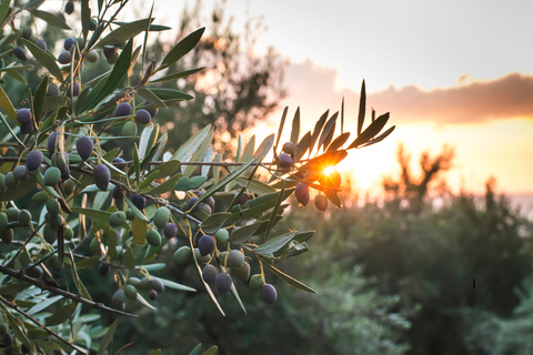 From Thessaloniki: The Ultimate Sunset & Olive Experience