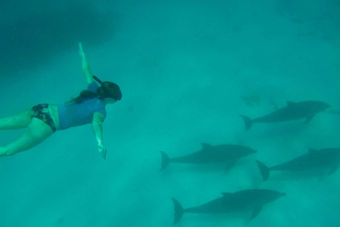 Zanzibar: Mnemba Island, Jozani forest & The Rock restaurant Private tour no Hotel pick up and drop-off included