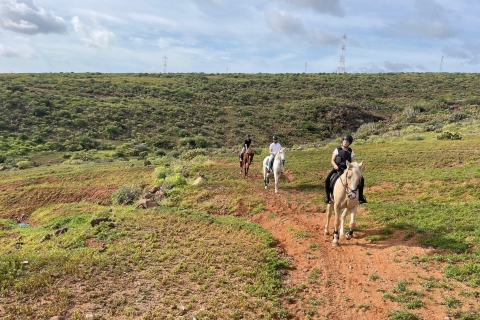Een uur paardrijden op Gran Canaria