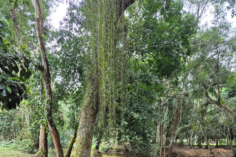 Paraty: 3-Day Kayak & Hike - Mamangua Expedition Paraty: 3-Day Kayak & Hike - Mamangua Expedition - Camping