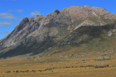 Desde Hobart Excursión de un día a la presa Gordon y el Lago Pedder Wilderness