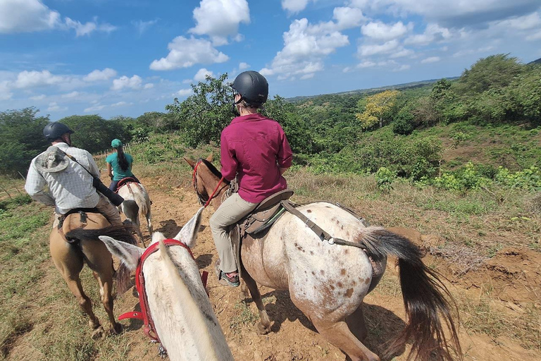 UTV & Horseback Tour with Wildlife Views from Cartagena