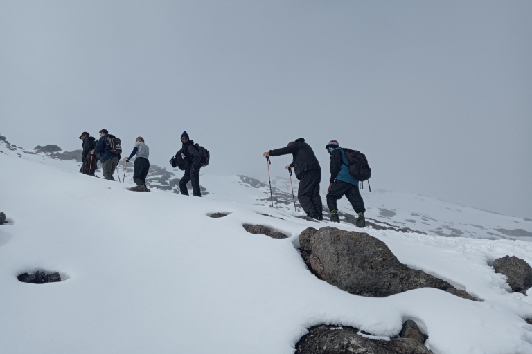 Conquista el Kilimanjaro: Excursión de 6 días por la Ruta del Rongai