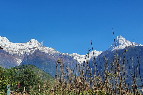 Ghorepani Poonhill Trek