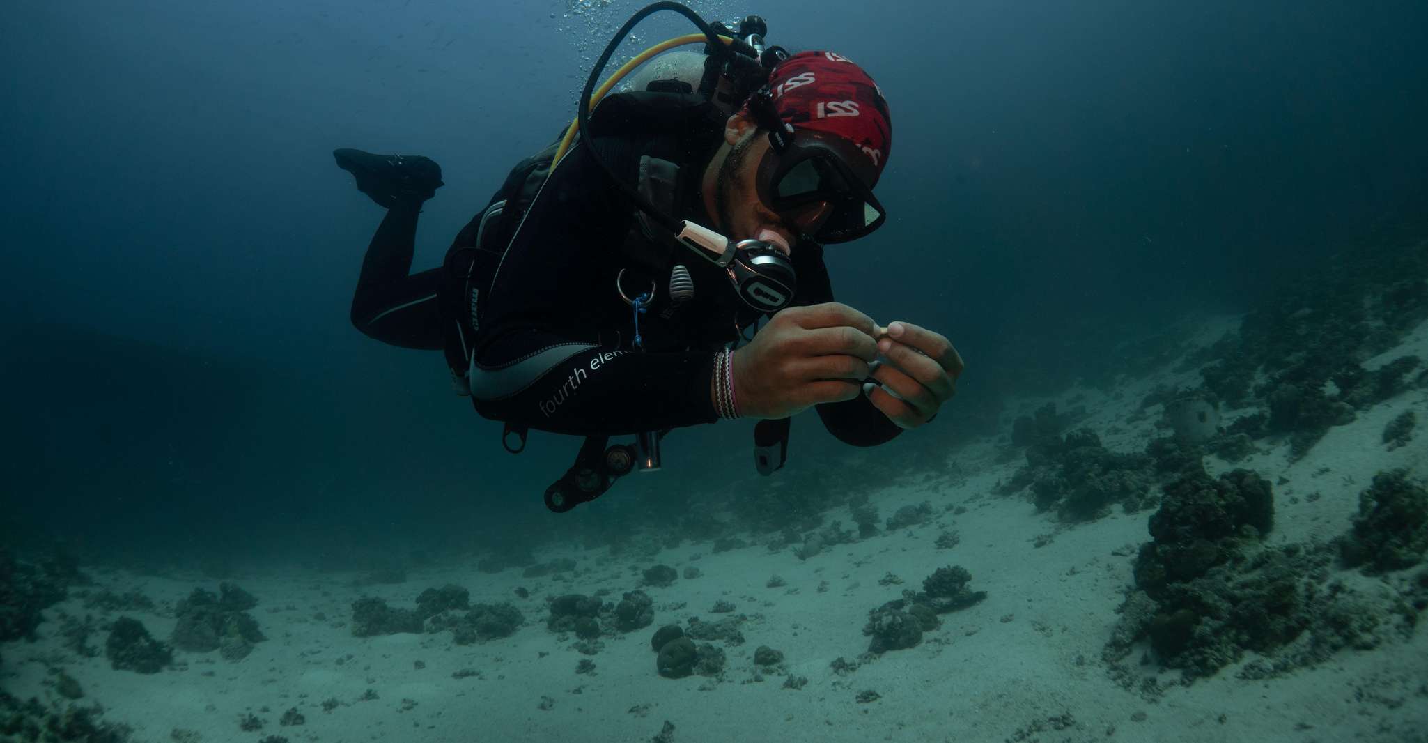 From Jeddah: Boat Trip and Diving for Certified Divers photo 5