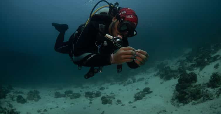 From Jeddah: Boat Trip and Diving for Certified Divers photo 5