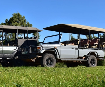 Safari till Schotia Halvdagsutflykt