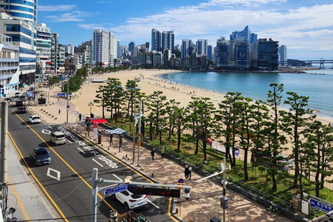 Busan Top Attractions 2-Day Tour from Seoul