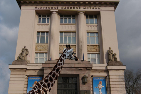 Bratislava: Natural History Museum Entry Ticket Natural History Museum Entry Ticket